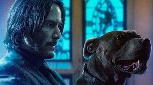 'John Wick 3: Parabellum': Cientos de gatos casi arruinan el rodaje de una de las escenas de acción