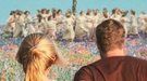 De 'Midsommar' a 'En los 90': 12 películas para disfrutar este verano alejado de los blockbusters