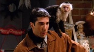 Marcel, el mono de Ross en 'Friends', vuelve a la televisión con 'Y: The Last Man'