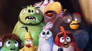 John Cohen ('Angry Birds 2'): "Con esta película queríamos contar la historia de los personajes más allá del videojuego"