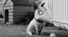 El posible universo compartido de Tim Burton y 9 curiosidades más de 'Frankenweenie'