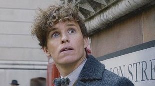 'Animales Fantásticos': Eddie Redmayne quiere que Hagrid se una a la saga