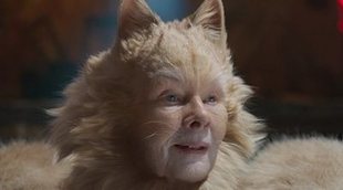 'Cats': Evan Rachel Wood alucina (para mal) y Universal retira su campaña para los Oscar