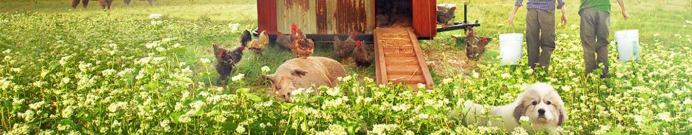 'Mi gran pequeña granja': Dialogando con la naturaleza