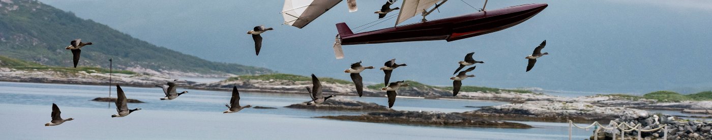 'Volando juntos': Viaje didáctico