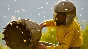 'Honeyland': El milagro de las abejas