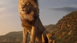 En marcha la secuela de 'El Rey León' con Barry Jenkins ('Moonlight')  como director