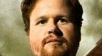 Whedon a una firma de dirigir 'Los Vengadores'