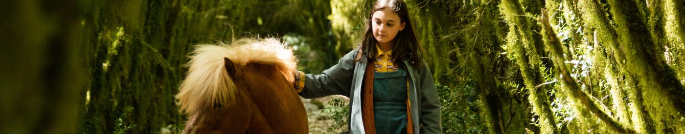 'Mi amigo Pony': Amor y respeto por los animales