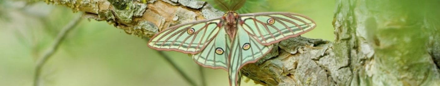 'Natura Bizia': Sintiendo la fuerza de la biodiversidad