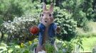 'Peter Rabbit 2: A la fuga': En la cocina con Dani Rovira, Belén Cuesta, Silvia Abril y Leo Harlem