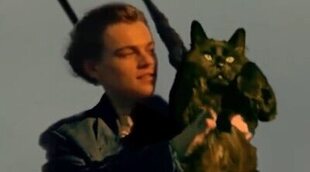 Reinterpretan 'Titanic' con una gata sustituyendo a Kate Winslet y el resultado es genial