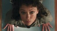 'She-Hulk': El nuevo merchandising muestra por fin la transformación de Tatiana Maslany