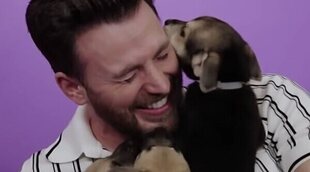 La entrevista de Chris Evans con perritos es lo más adorable que verás jamás