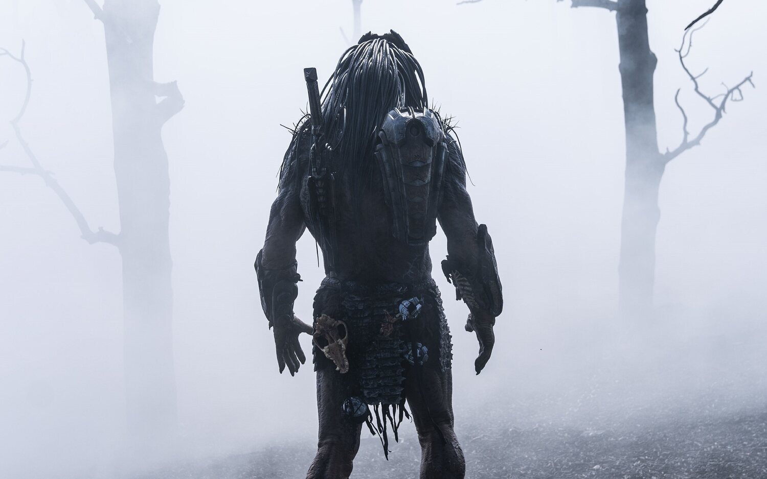 'Predator: La Presa': Un sangriento retorno al espíritu original de la saga