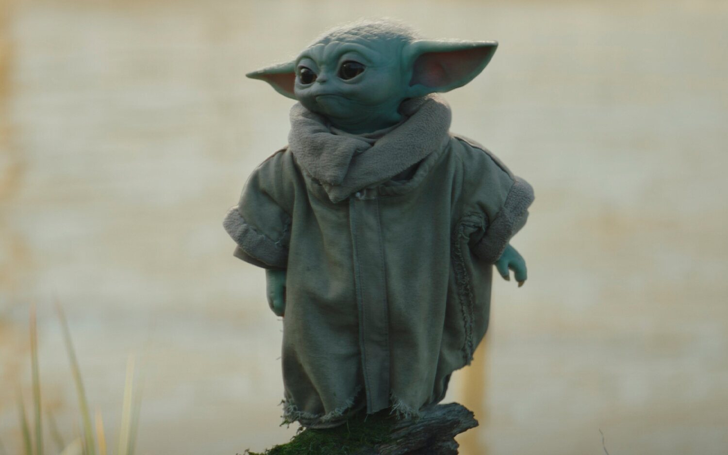 'Star Wars': Baby Yoda y Hayao Miyazaki, ¿qué están tramando Studio Ghibli y Lucasfilm?