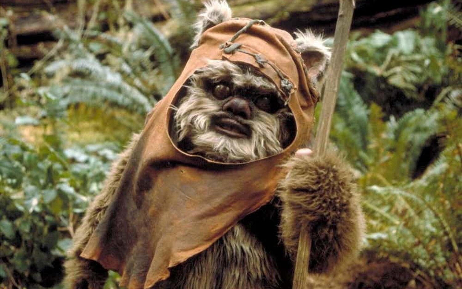 El regreso de los Ewoks a 'Star Wars' es "inevitable" según Jonathan Kasdan, showrunner de 'Willow'