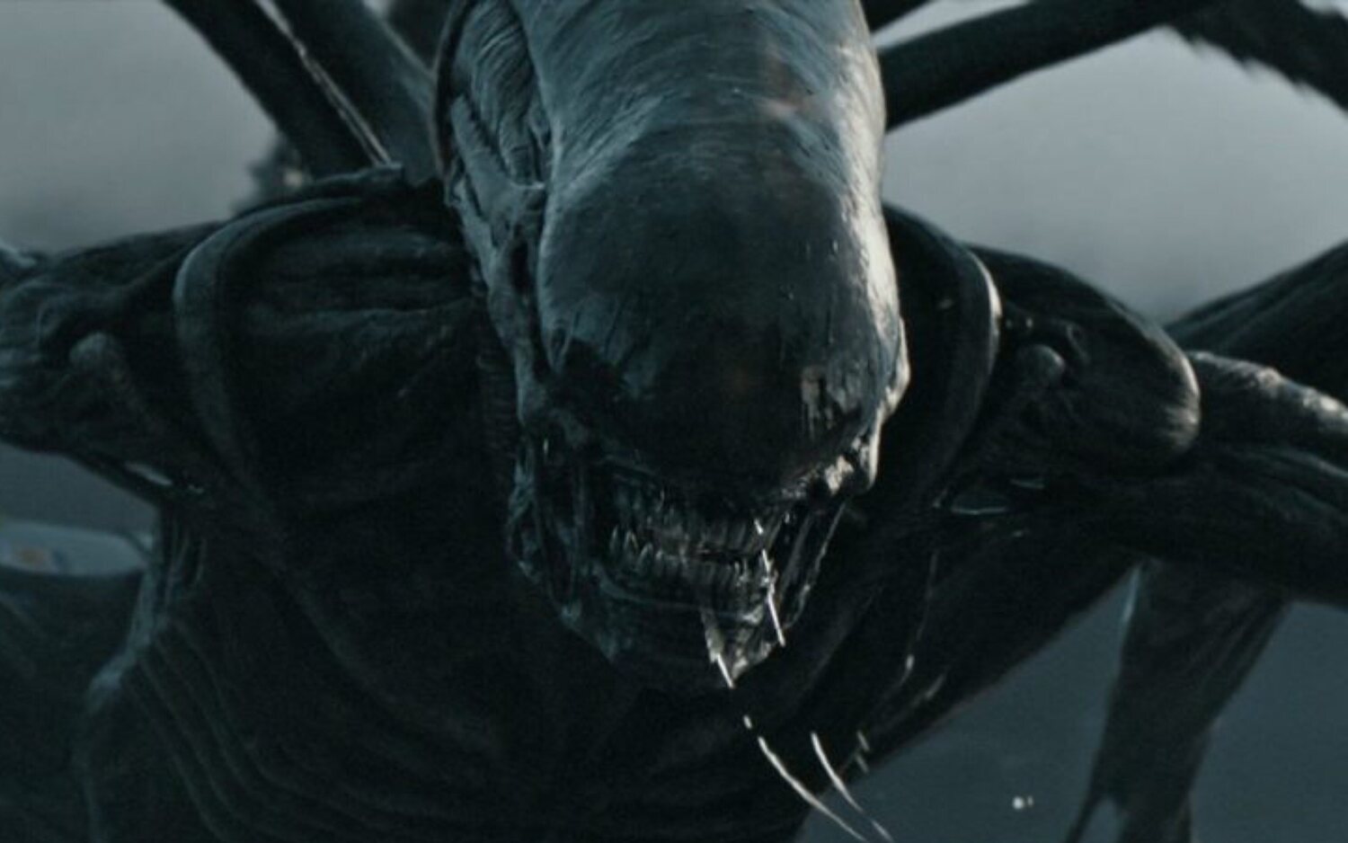 'Alien: Romulus', la nueva película de la saga 'Alien', empieza su rodaje a principios del próximo año