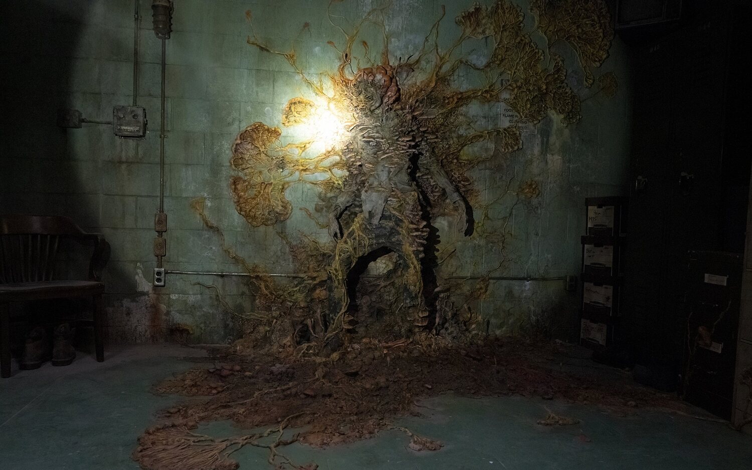 'The Last of Us': El Cordyceps explicado por un experto en hongos parásitos