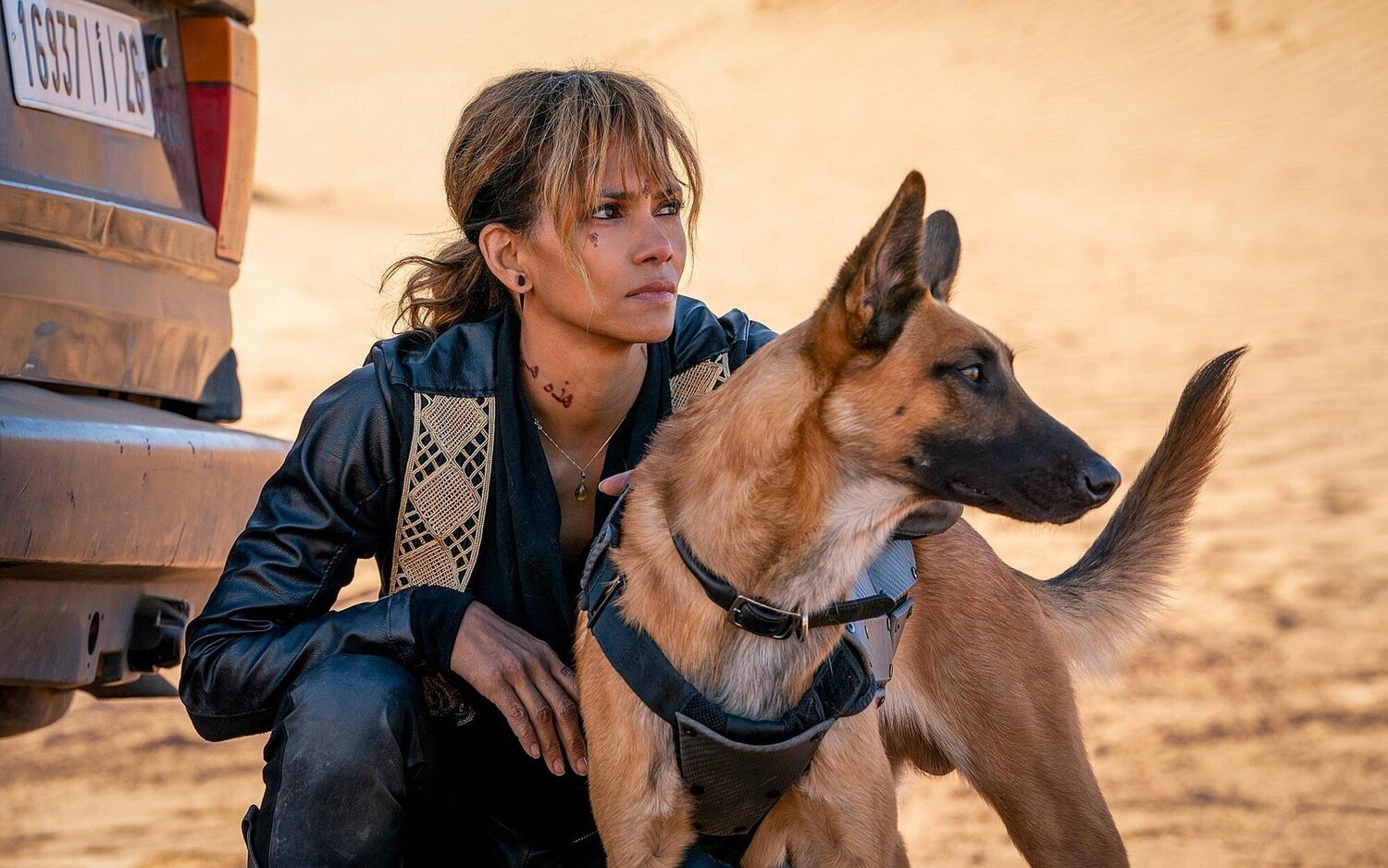 El director de 'John Wick' confirma que hay planes para traer a Halle Berry de vuelta a la saga