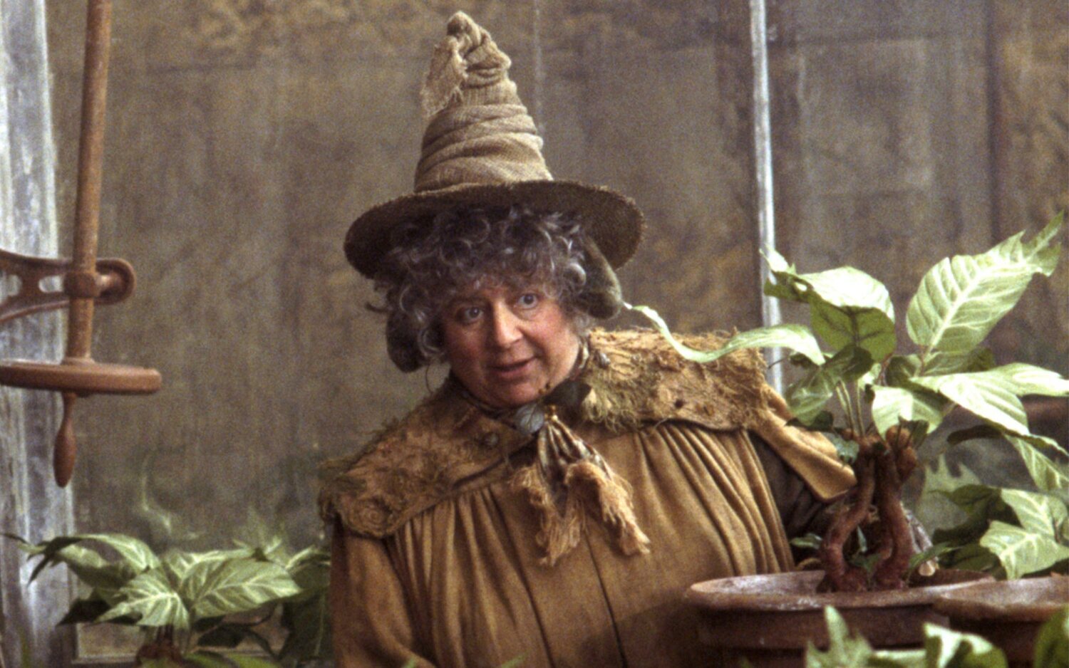 Miriam Margolyes (la profesora Sprout) es tajante con 'Harry Potter': "No es Charles Dickens"