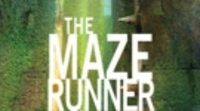 Catherine Hardwicke podría adaptar 'The Maze Runner'