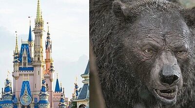 Un oso salvaje se cuela en Disney World Orlando, y no es Winnie the Pooh