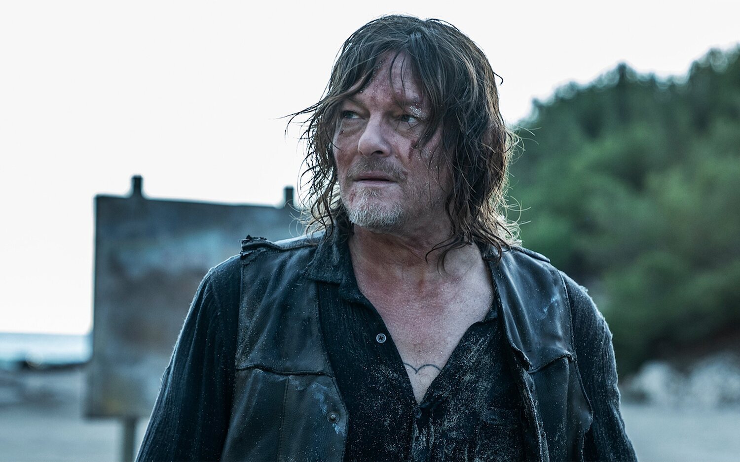 Norman Reedus como Daryl Dixon