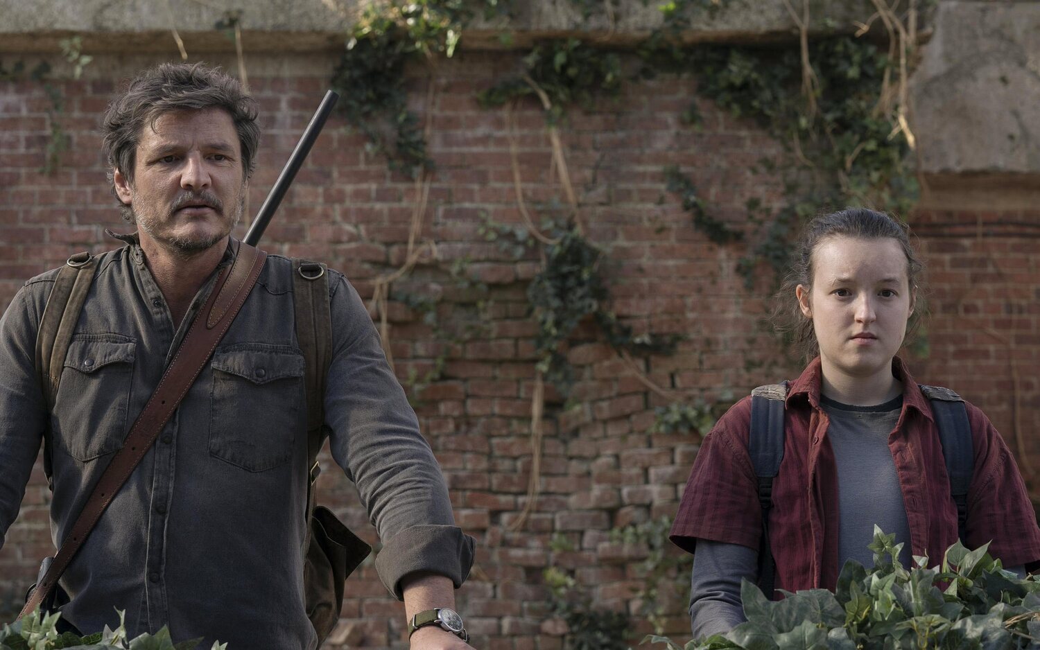 Pedro Pascal y Bella Ramsey volverán en la segunda temporada