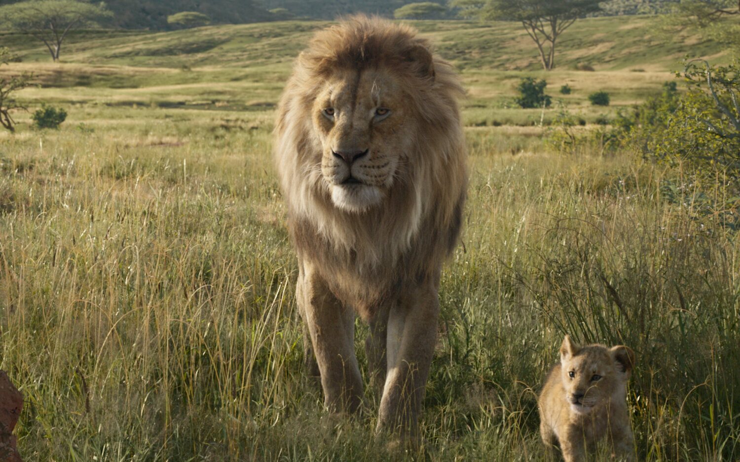 Mufasa en el remake de 'El rey león' estrenado en 2019