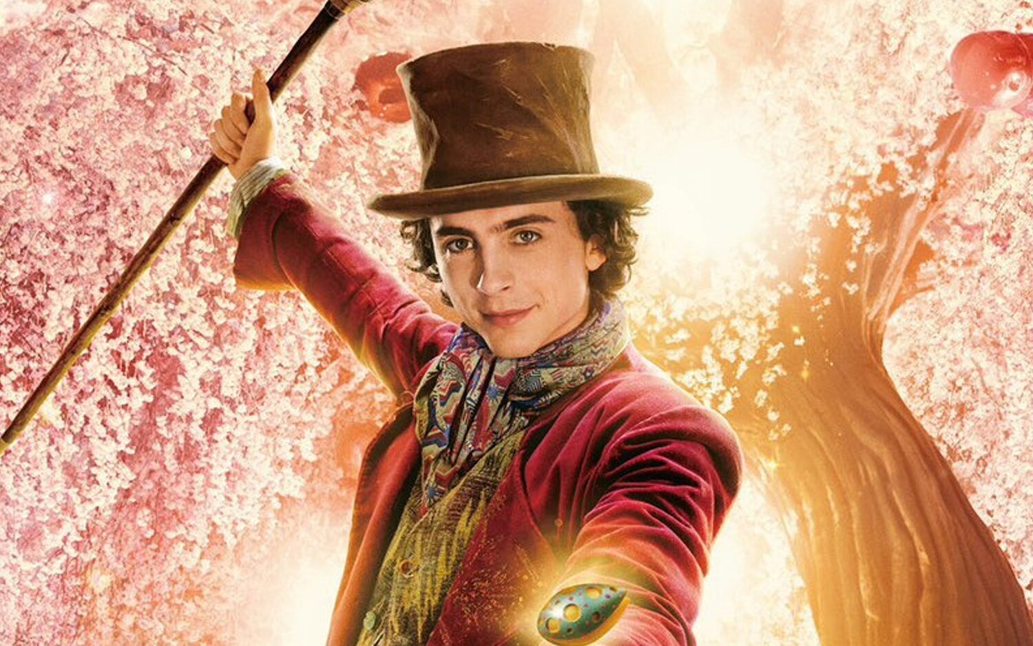 Timothée Chalamet en el póster japonés de 'Wonka'