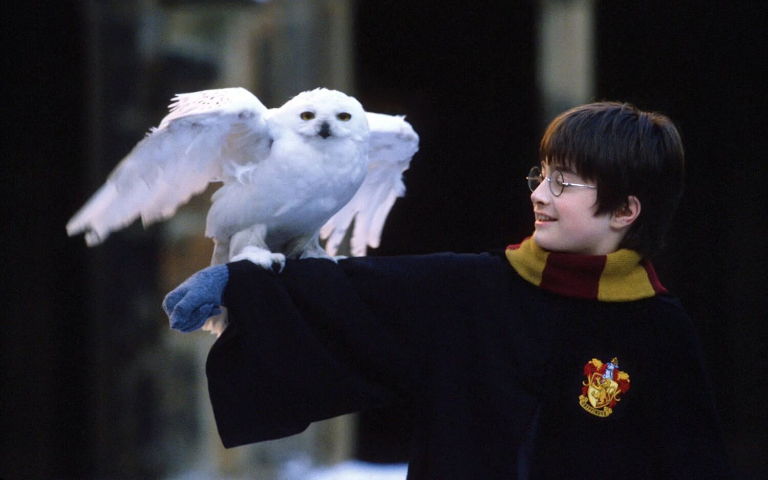 Daniel Radcliffe con Hedwig en 'Harry Potter'