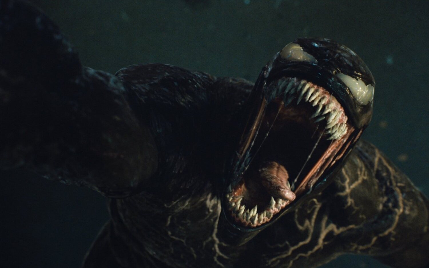 Imagen de 'Venom: Habrá matanza'