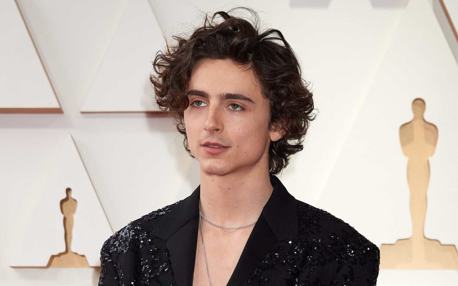 Thimothée Chalamet en la gala de los Oscars 2022