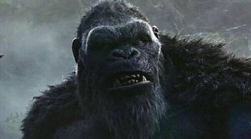 Adam Wingard, el director de 'Godzilla y Kong: El nuevo imperio', ya tiene planes para una secuela