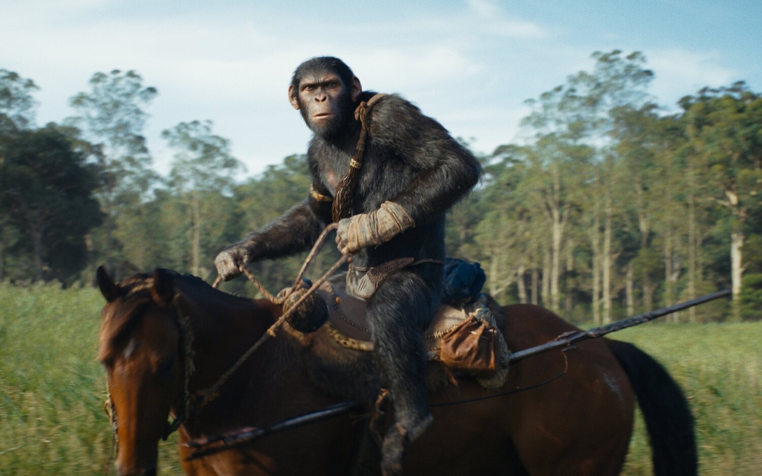 Noa (Owen Teague) en 'El reino del planeta de los simios'