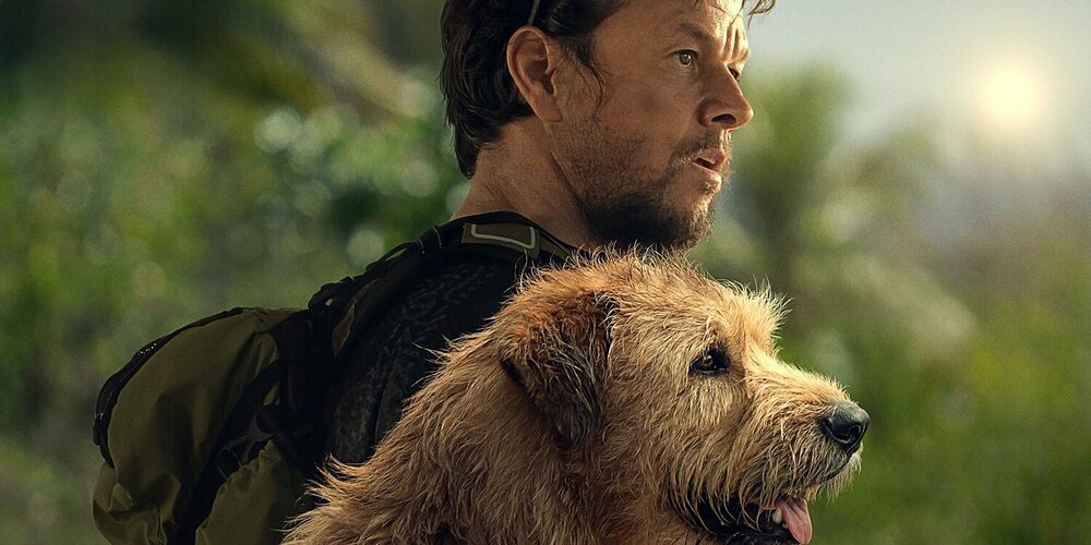 'Arthur': La generosidad de un rey canino