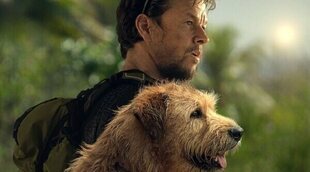 'Arthur': La generosidad de un rey canino