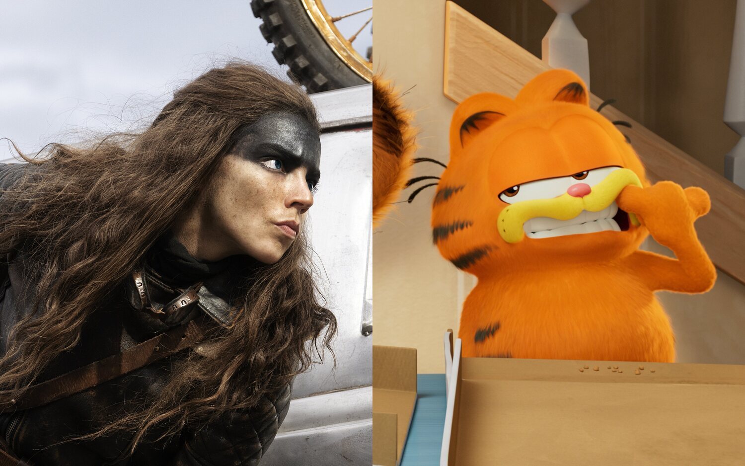 Anya Taylor-Joy vs. Garfield