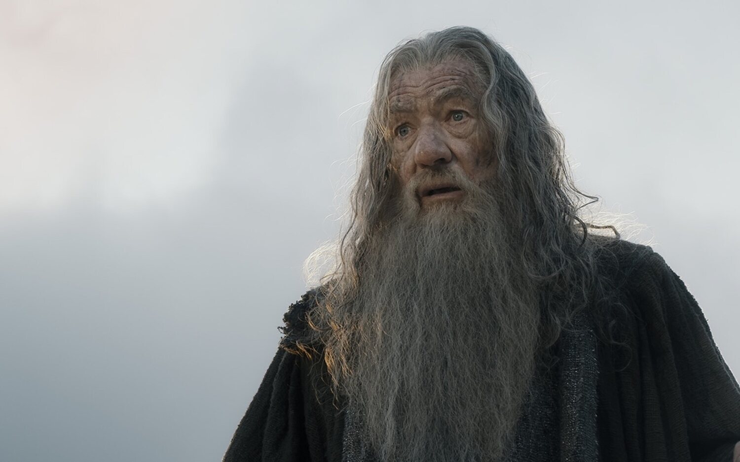 Ian McKellen interpretó a Gandalf en las seis películas de la saga