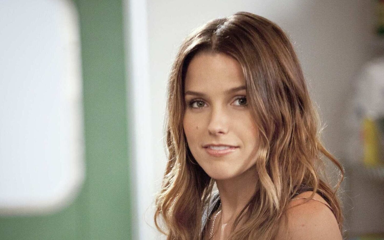 Netflix prepara una secuela de 'One Tree Hill' con Sophia Bush y Hilarie Burton en la producción
