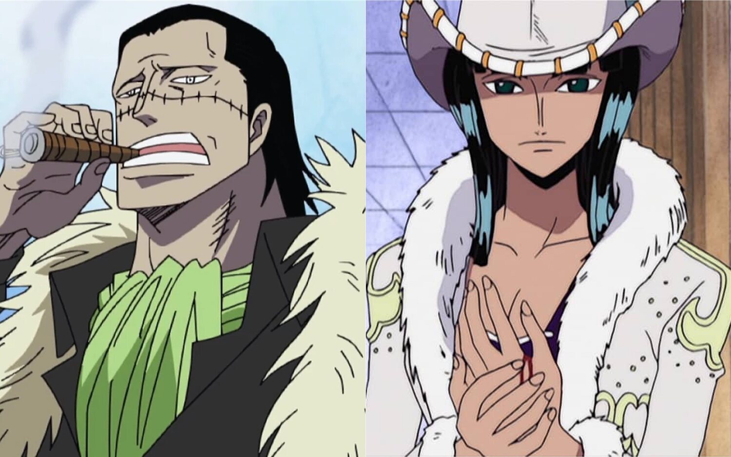 Nico Robin y Crocodile en el anime de 'One Piece'