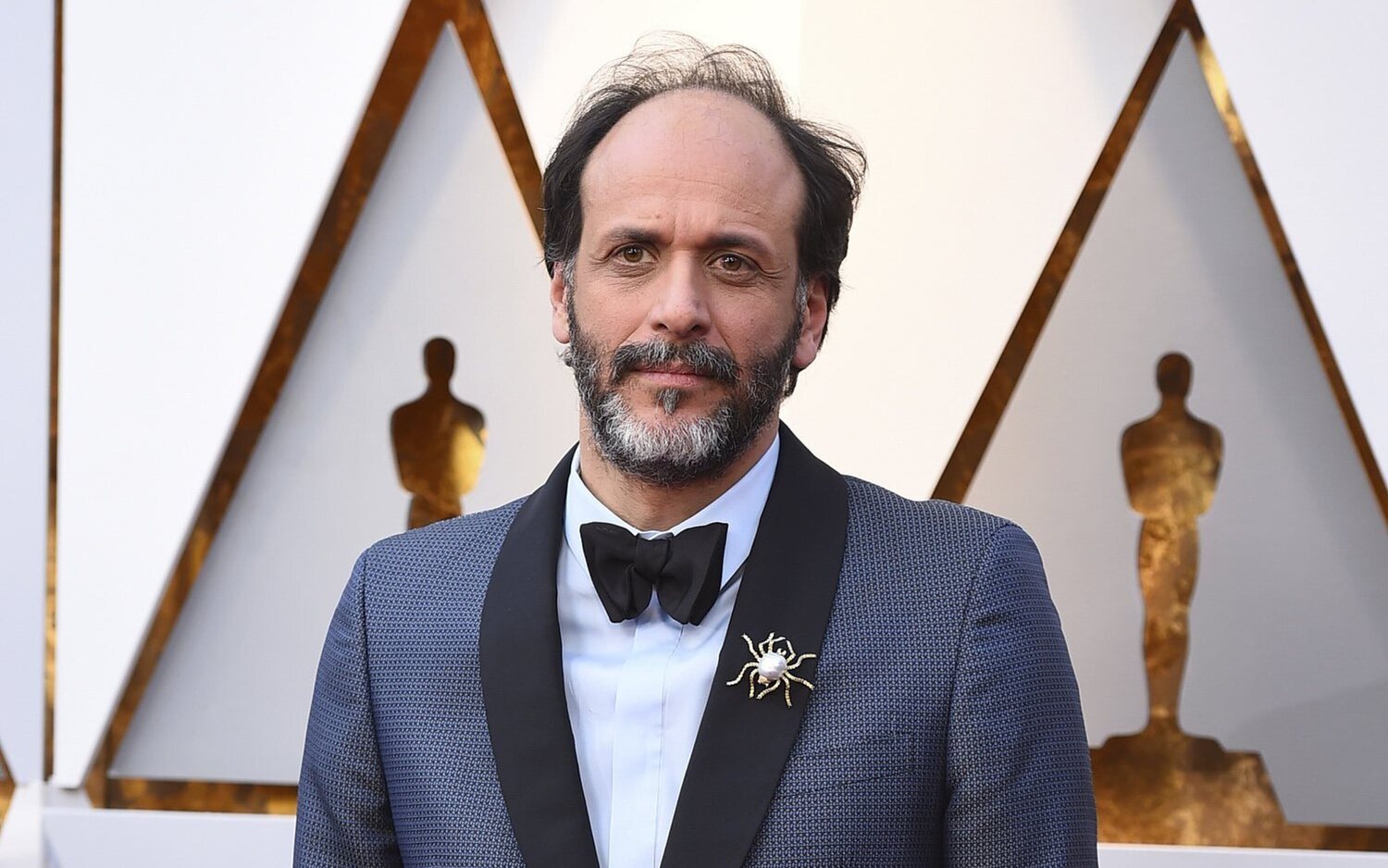 Luca Guadagnino en la alfombra roja de los Oscar 2018