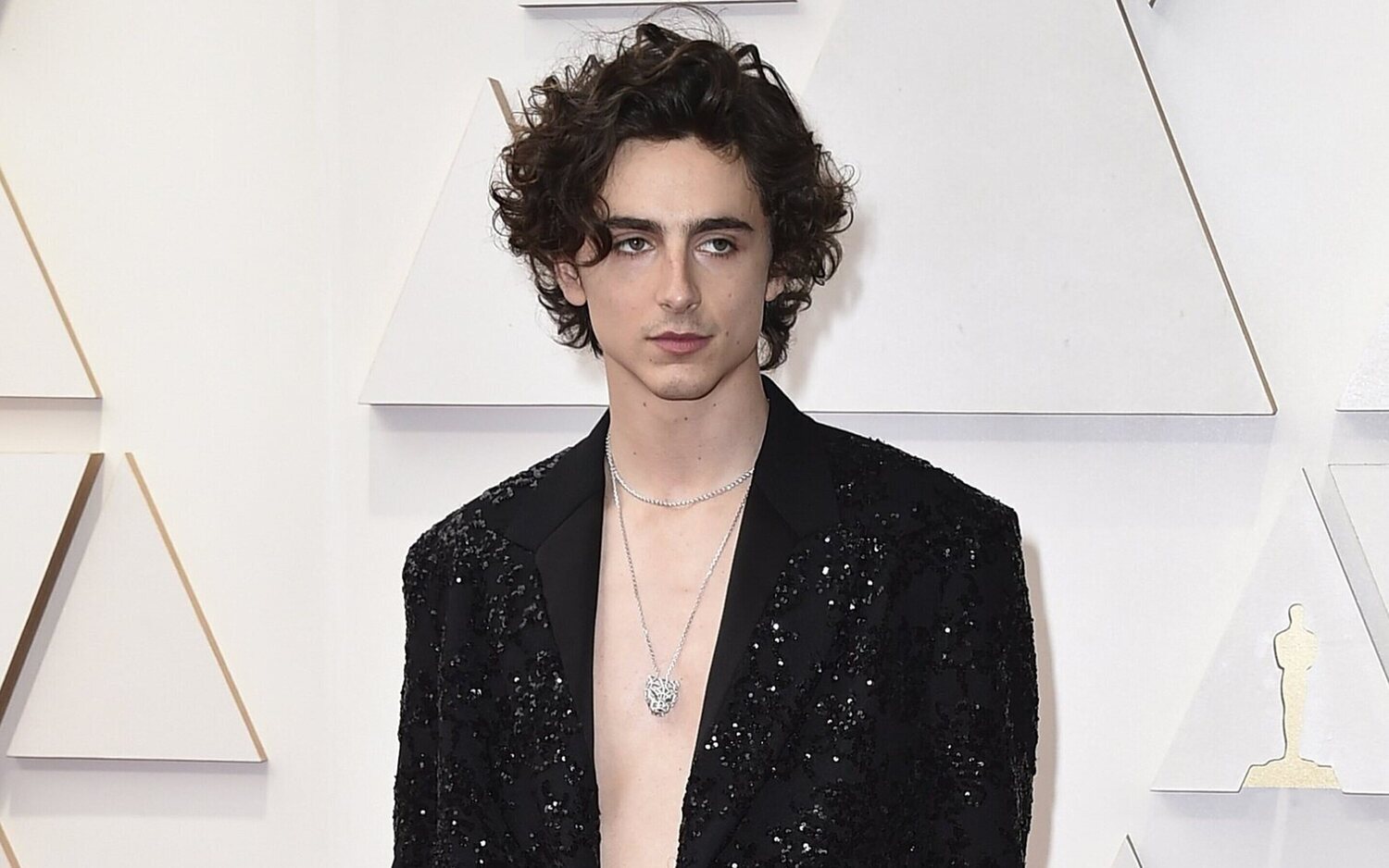 Timothée Chalamet en la alfombra roja de los Oscar 2022