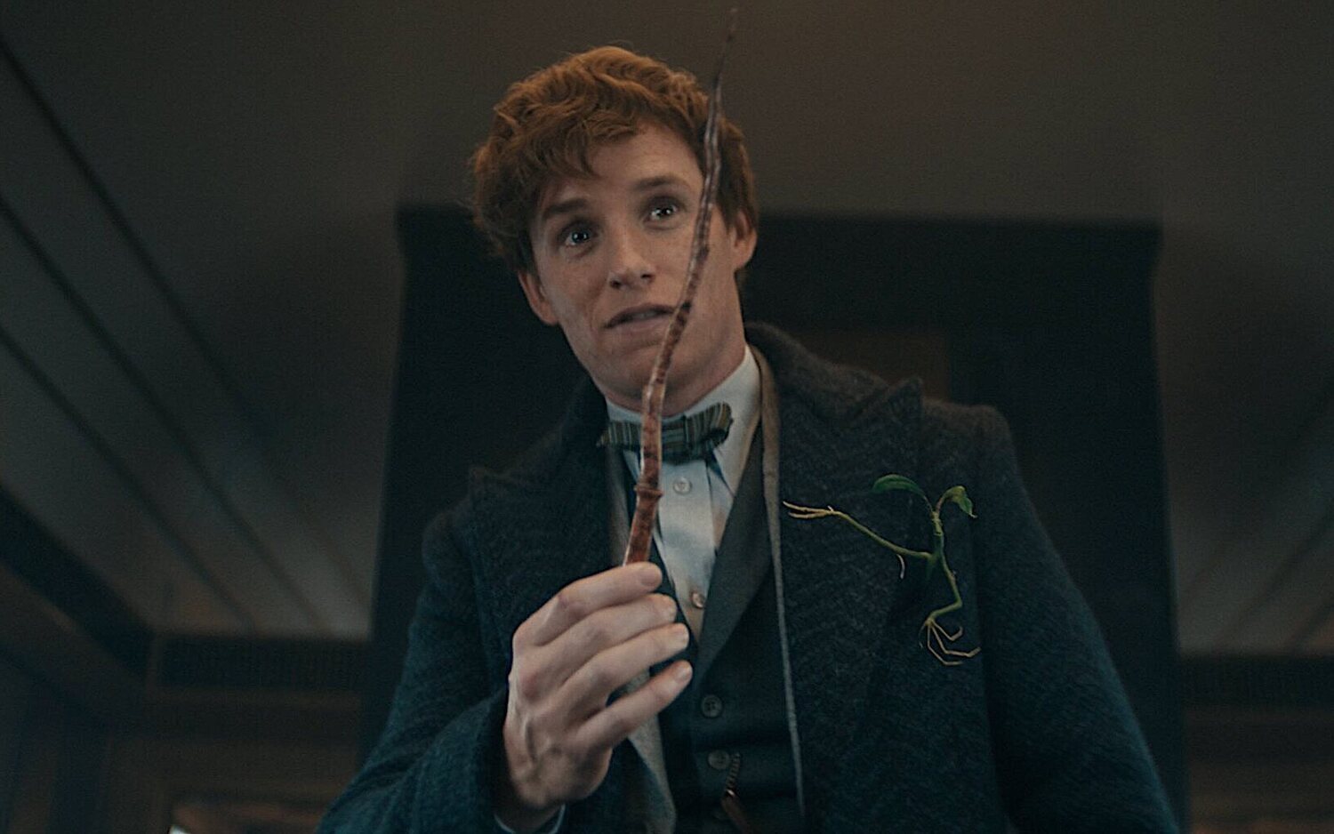 Eddie Redmayne como Newt Scamander