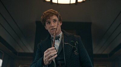 Eddie Redmayne confirma que no habrá más películas de 'Animales fantásticos': "Habéis visto lo último de Newt"