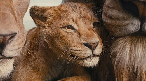 Barry Jenkins presenta 'Mufasa: El Rey León' en Madrid: "Esta película es similar a 'Moonlight' en muchos sentidos"