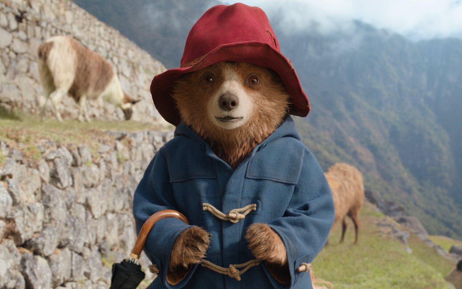 Paddington busca a su Tía Lucy en 'Paddington: Aventura en la selva'