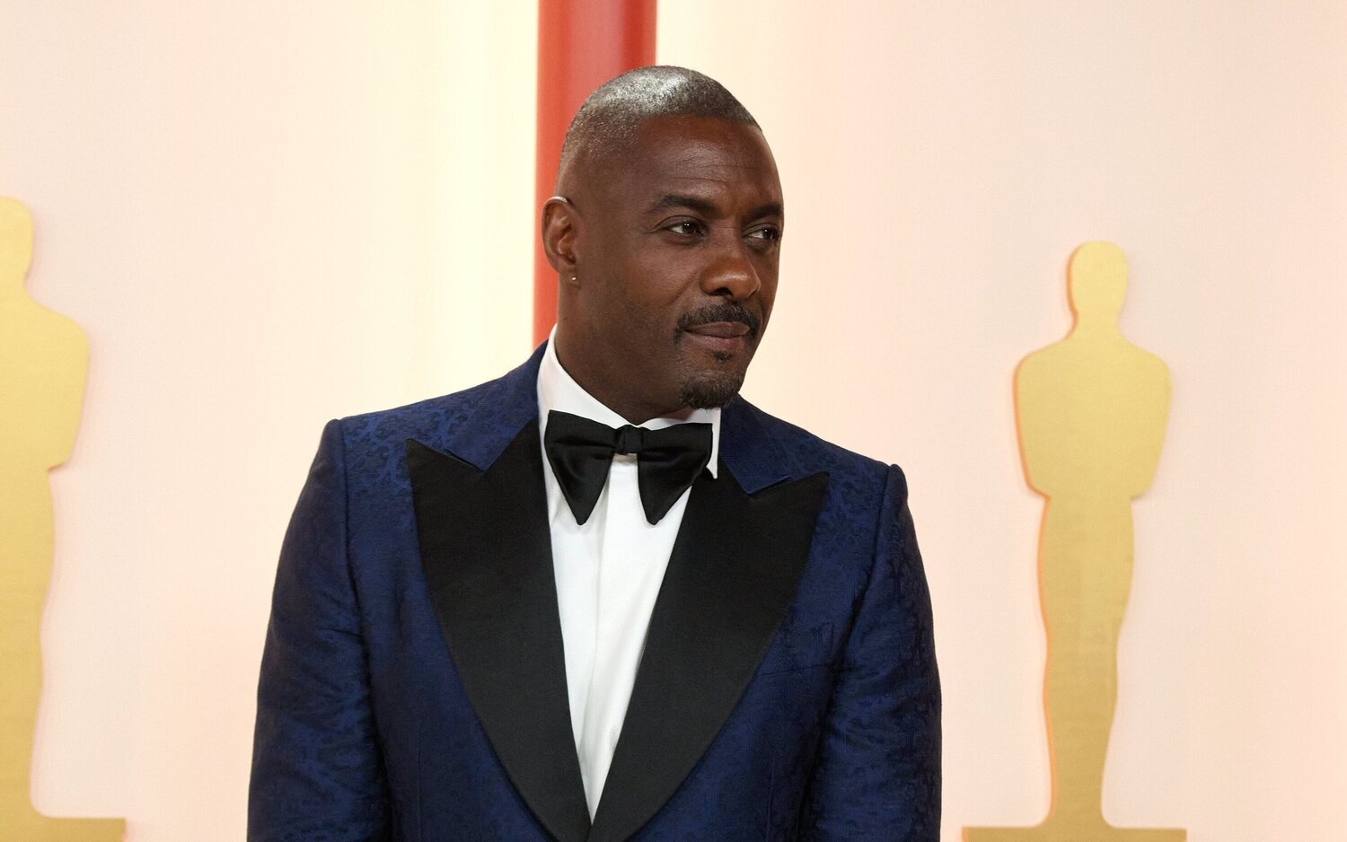 Idris Elba en la alfombra champagne de los Oscar 2023