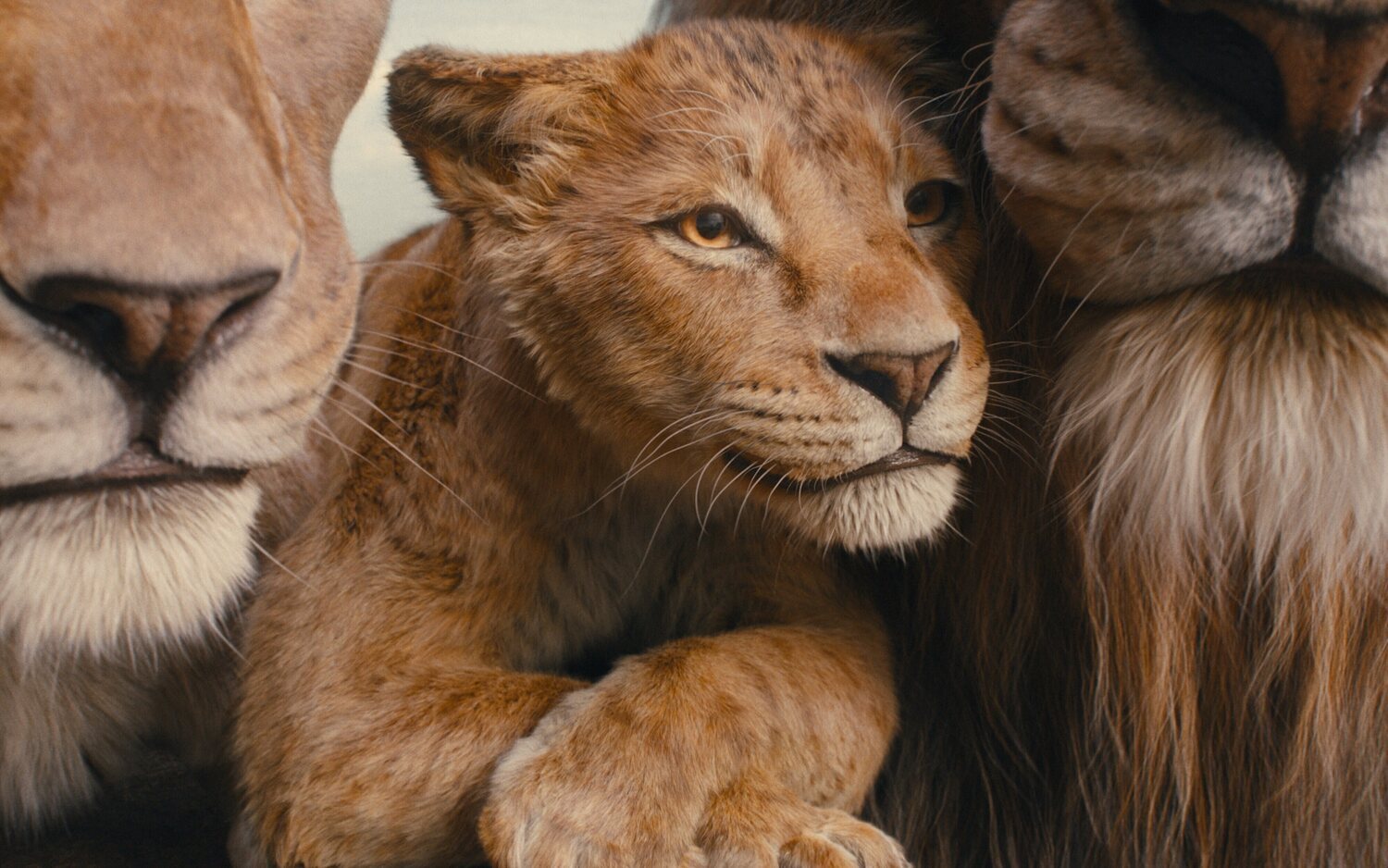 'Mufasa: El Rey León'